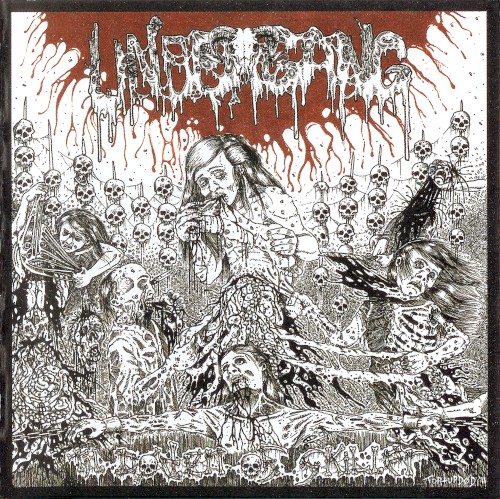 Undergang - Til Døden os Skiller